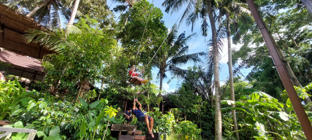 Full Day Private Experience ATV Drive And Bali Swing In Ubud