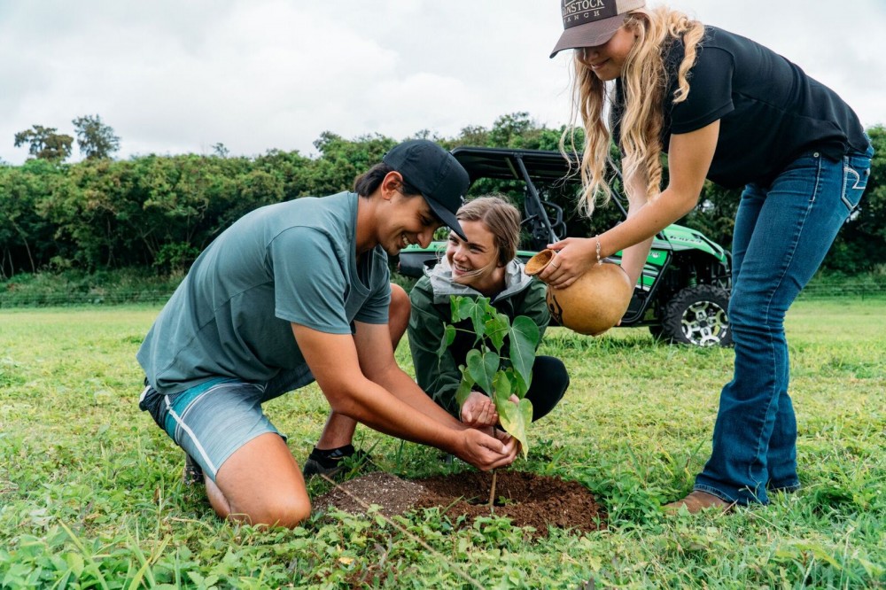 Planter’s Experience - Legacy Tree Planting