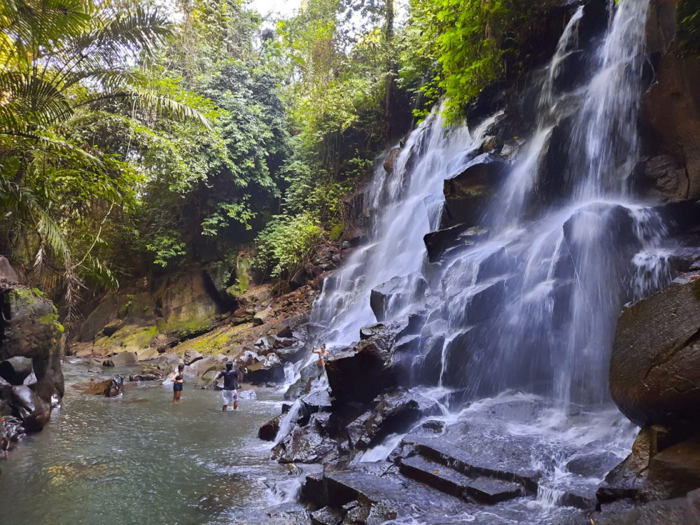 Private Trekking And Tegallalang Rice Terace Field with Waterfall Ubud Tour
