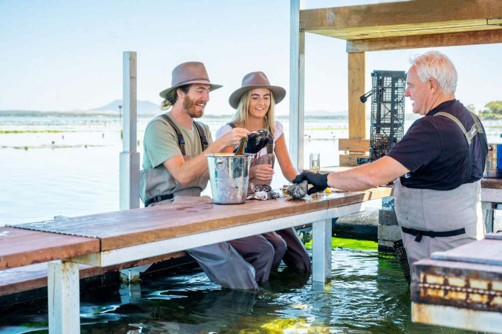 1 Day Port Lincoln & Coffin Bay Tour