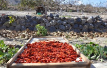 Santorini Island Tour P.C.2