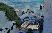 Santorini Island Tour P.C.5