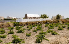 Santorini Island Tour P.C.6