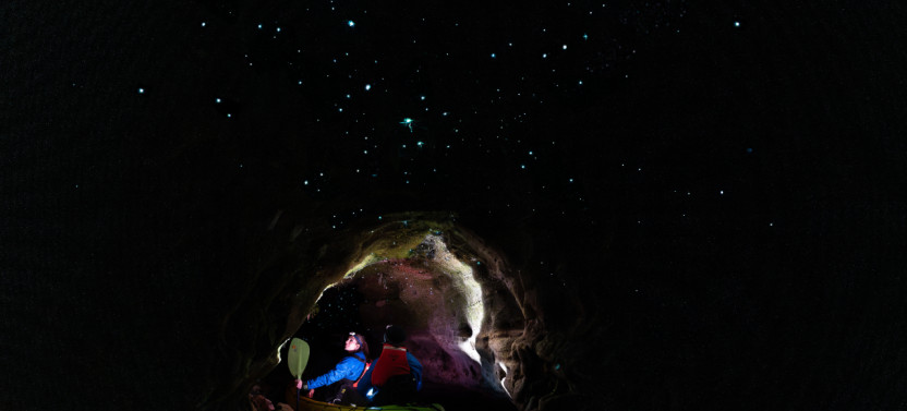 Evening Glow Worm Kayak Tour