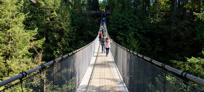 Guided North Vancouver History & Grouse Mountain Gondola Tour