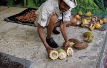 Runners Adventures11