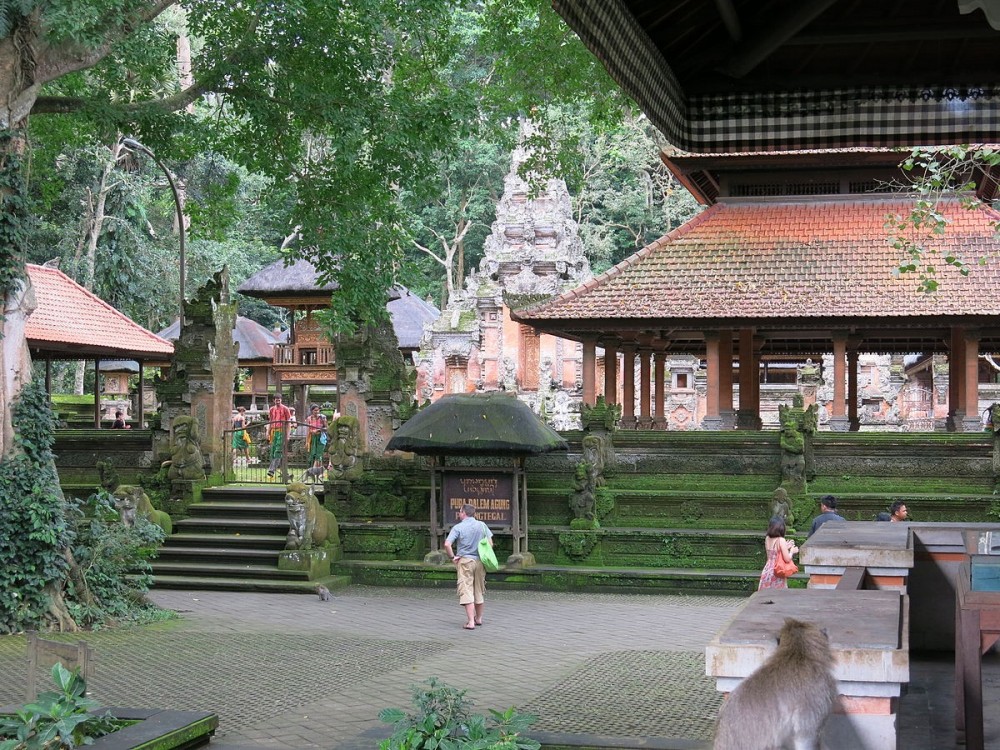 Ubud Monkey Forest Sights Attractions Project Expedition