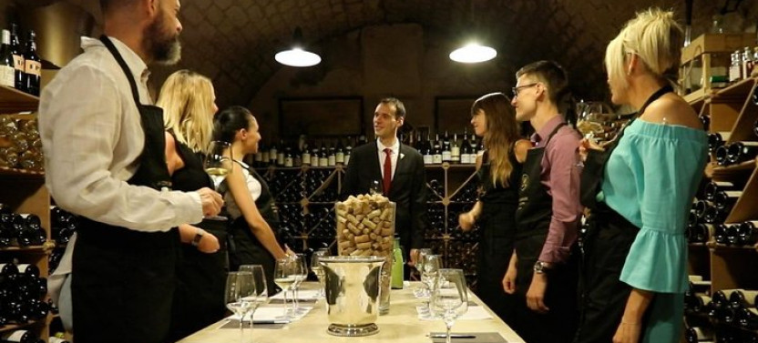 Incredible Loire Castles Tour With Wine Tastings (Lunch optional)