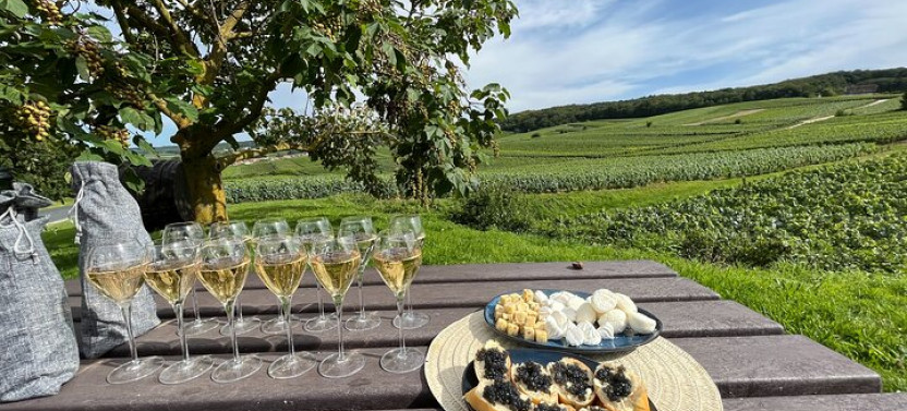 Champagne And Reims Tasting Day Trip From Paris