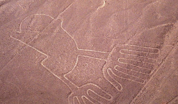 A picture of Nazca Lines Flight Tour from Lima with Overnight Bus Transfer