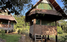 Izi Peru14