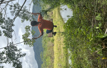 Izi Peru9
