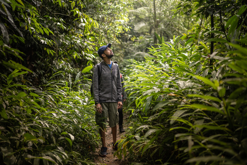 4-Day Manu Jungle Expedition with Wildlife Watching from Cusco