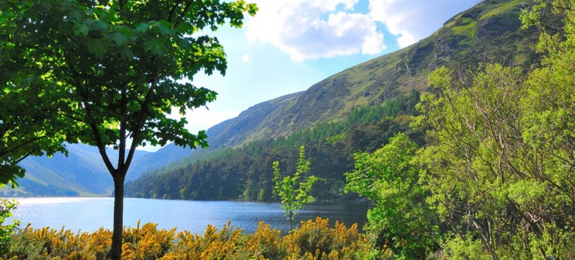 Private Day Tour of Wicklow
