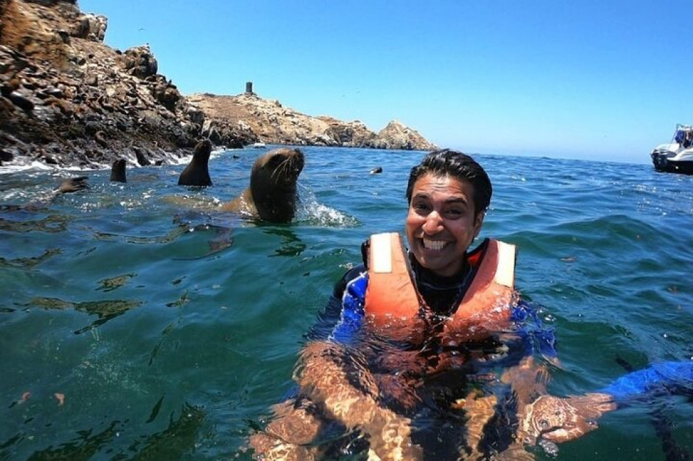 Eco-Friendly Sea Lion Swimming Experience at Islas Palomino Lima