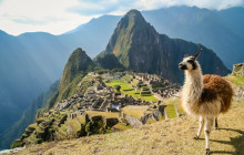 Izi Peru1