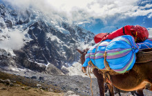 Izi Peru4