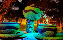 Izi Peru12