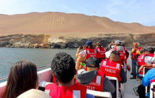 Izi Peru8