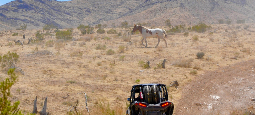 Las Vegas Mini Off Road RZR Adventure Guided UTV Tour