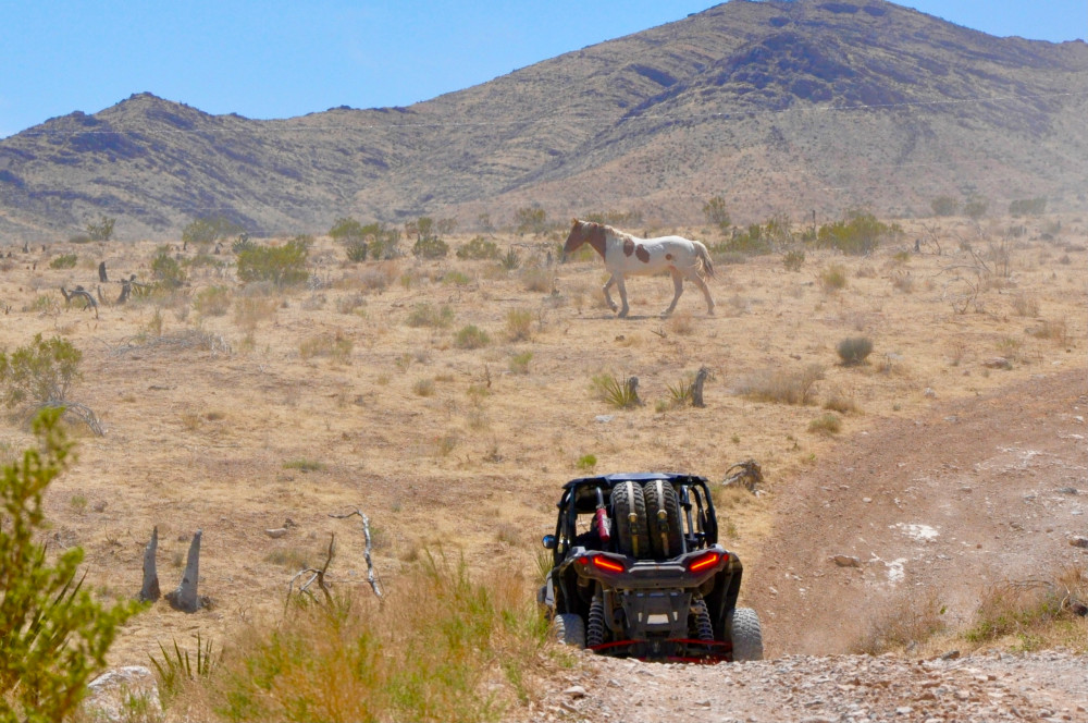 Las Vegas Mini Off Road RZR Adventure Guided Tour