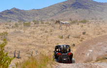 Vegas Off Road Tours1