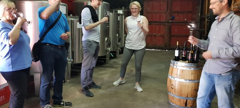 Douro Valley Tour With Visit to Two Vineyards, River Cruise & Lunch