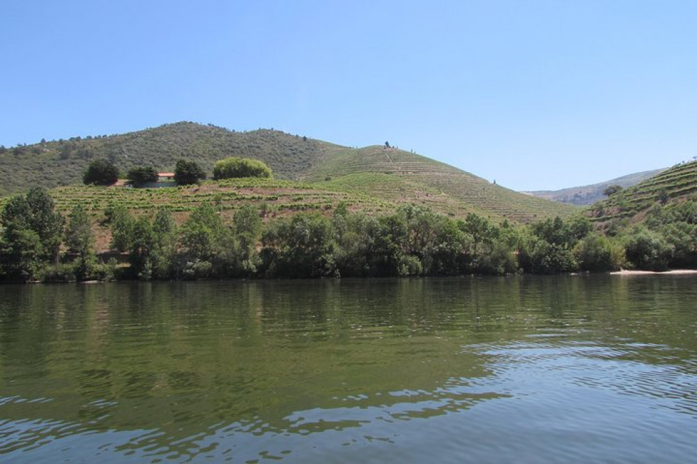 Douro Valley Tour With Visit to Two Vineyards, River Cruise & Lunch