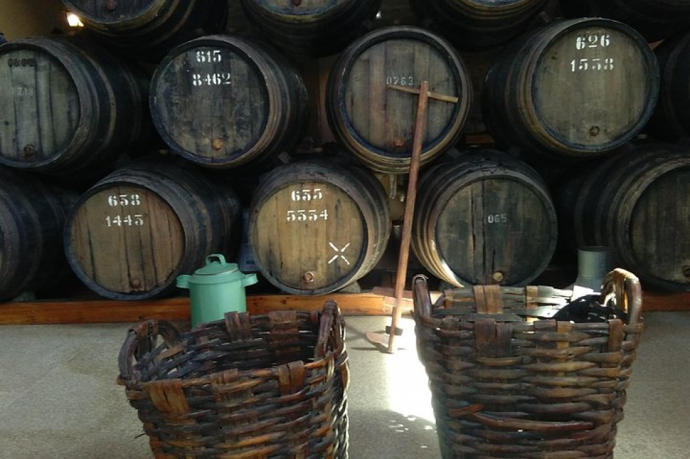 Private Douro Valley Tour With Visit to Two Vineyards, River Cruise & Lunch