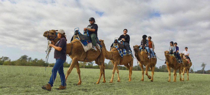 Outback Camel Farm Tour and Tasting - Private Tour