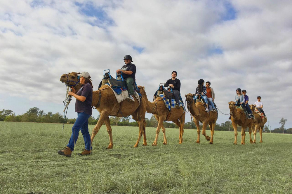 Outback Camel Farm Tour and Tasting - Private Tour
