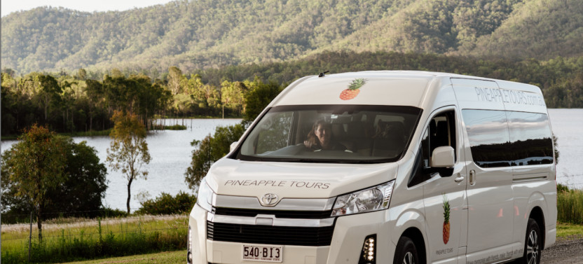 Hop on Hop off Day Pass + Glow Worm Tour w/ Brisbane Pickup
