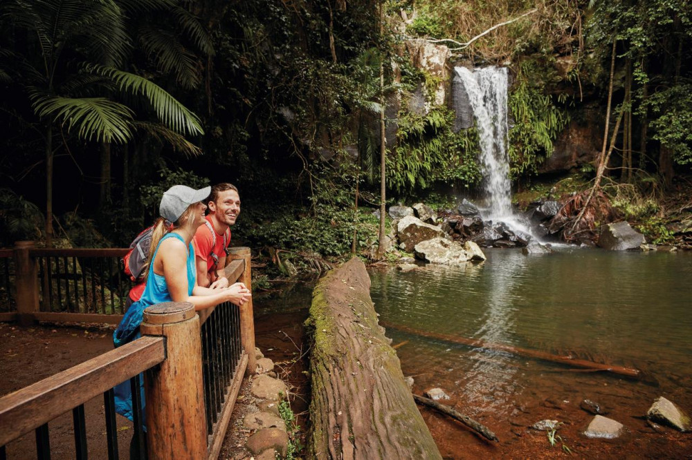 Hop on Hop Off Bus of Tamborine Mountain from Gold Coast