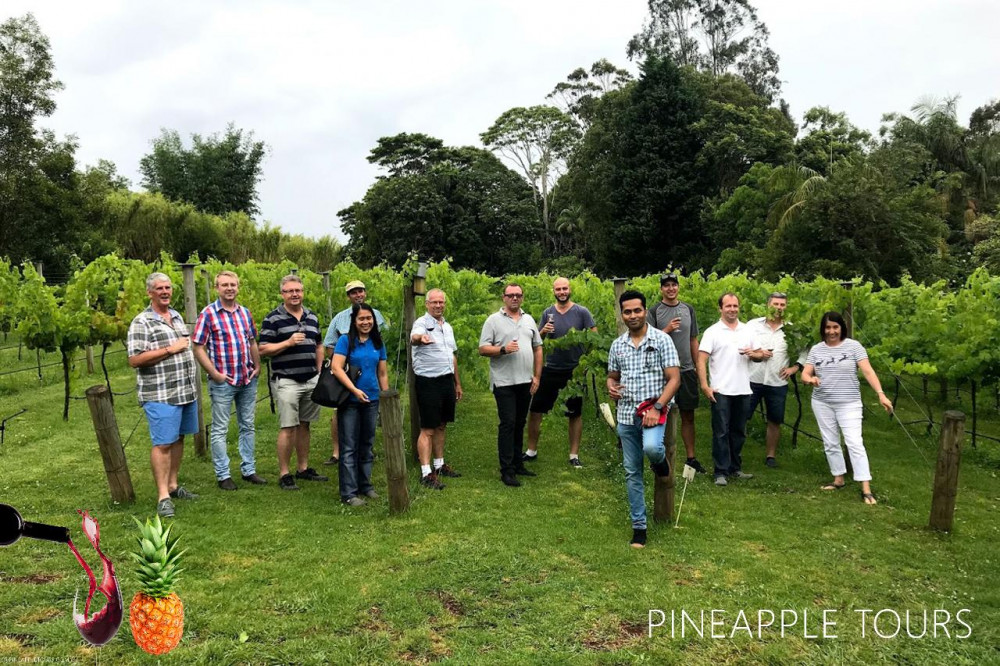 Premium Full Day Mount Tamborine Winery Tour w/ Gold Coast Pickup