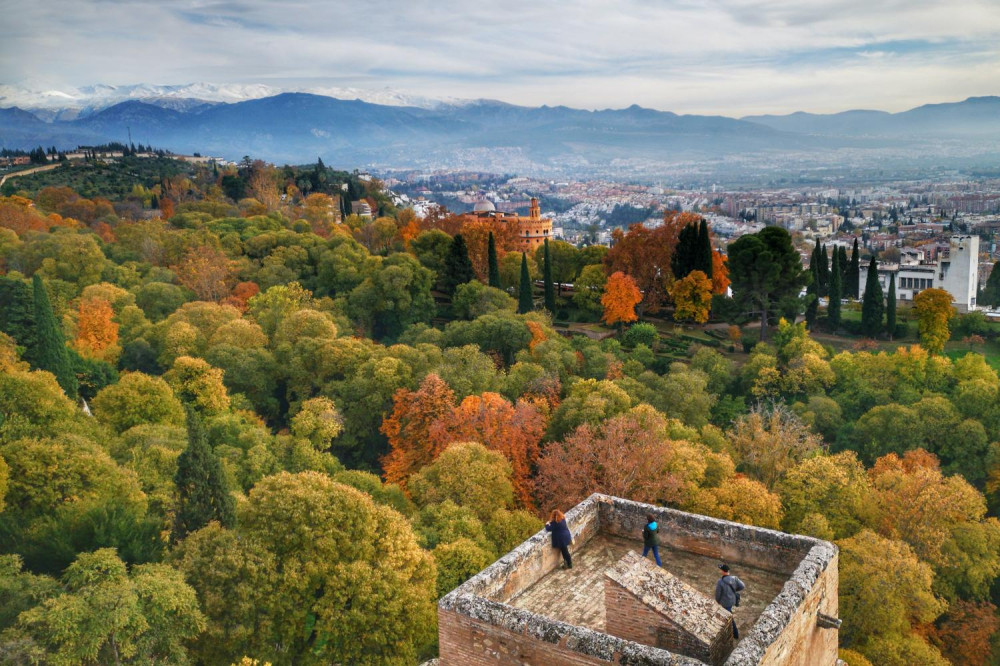 Alhambra Guided Tour with Transfer - 2 pm