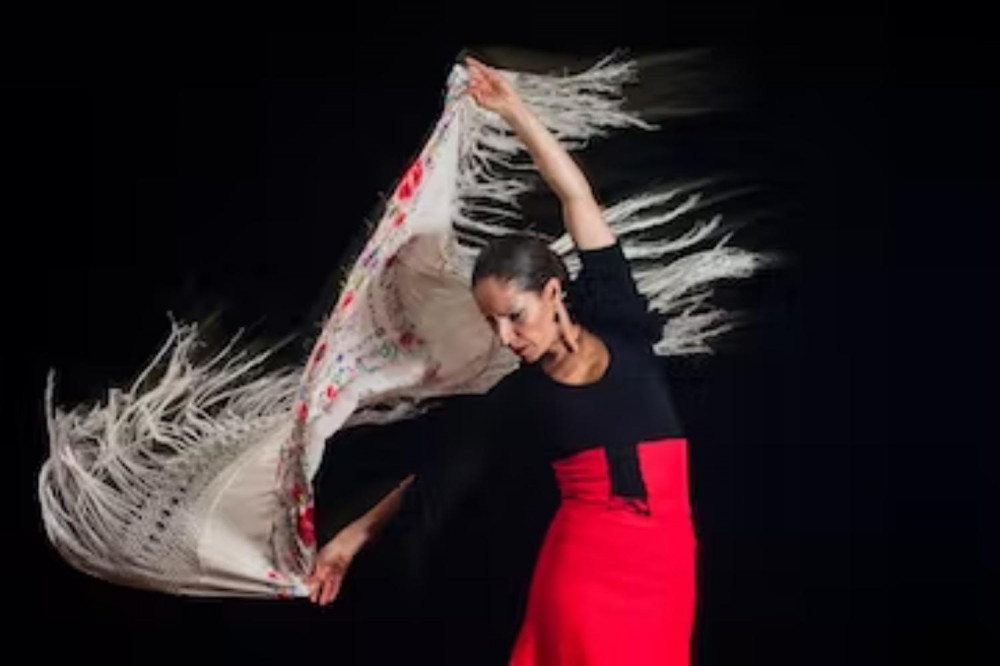 Flamenco Show in Sacromonte with Dinner