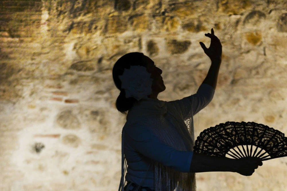 Alhambra Guided Tour and Flamenco Show with Drink