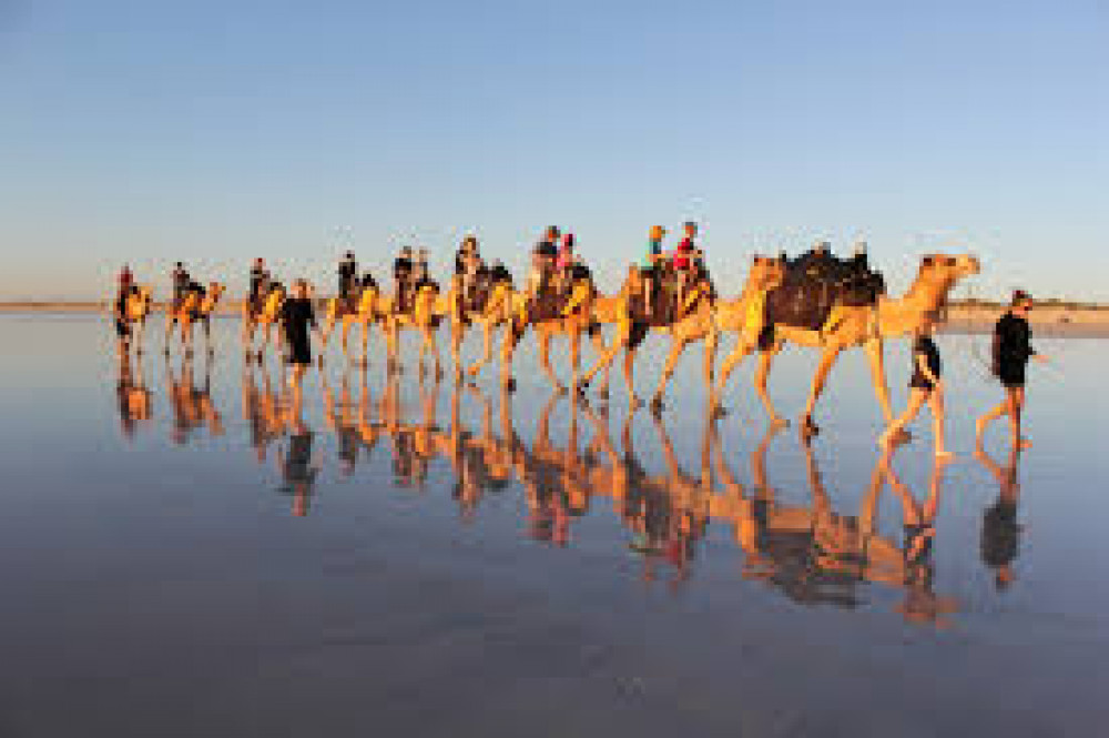 Agadir 2-Hour Camel Ride Experience