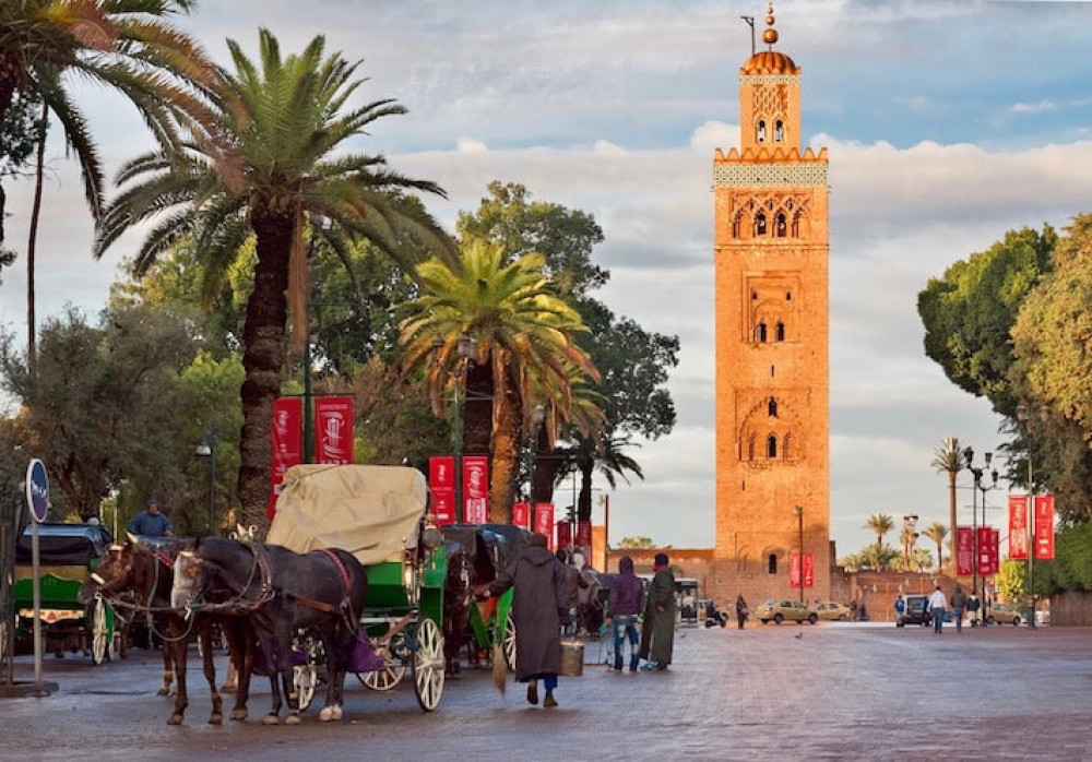 Full Day Marrakech Tour from Agadir