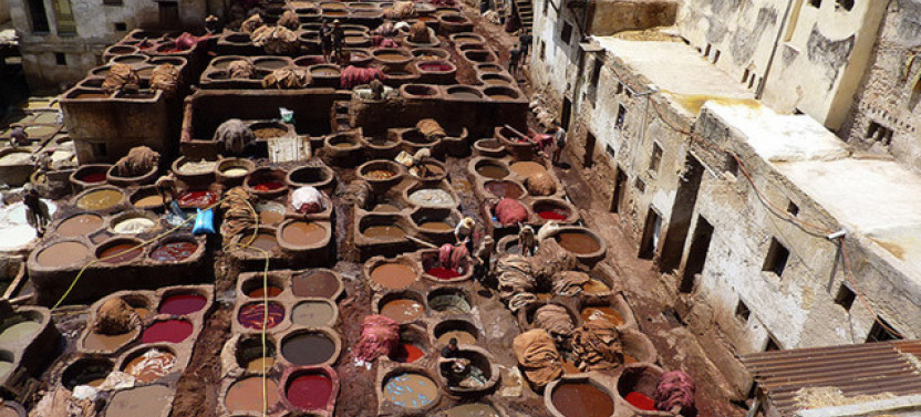 Half-Day Fez Sightseeing Tour