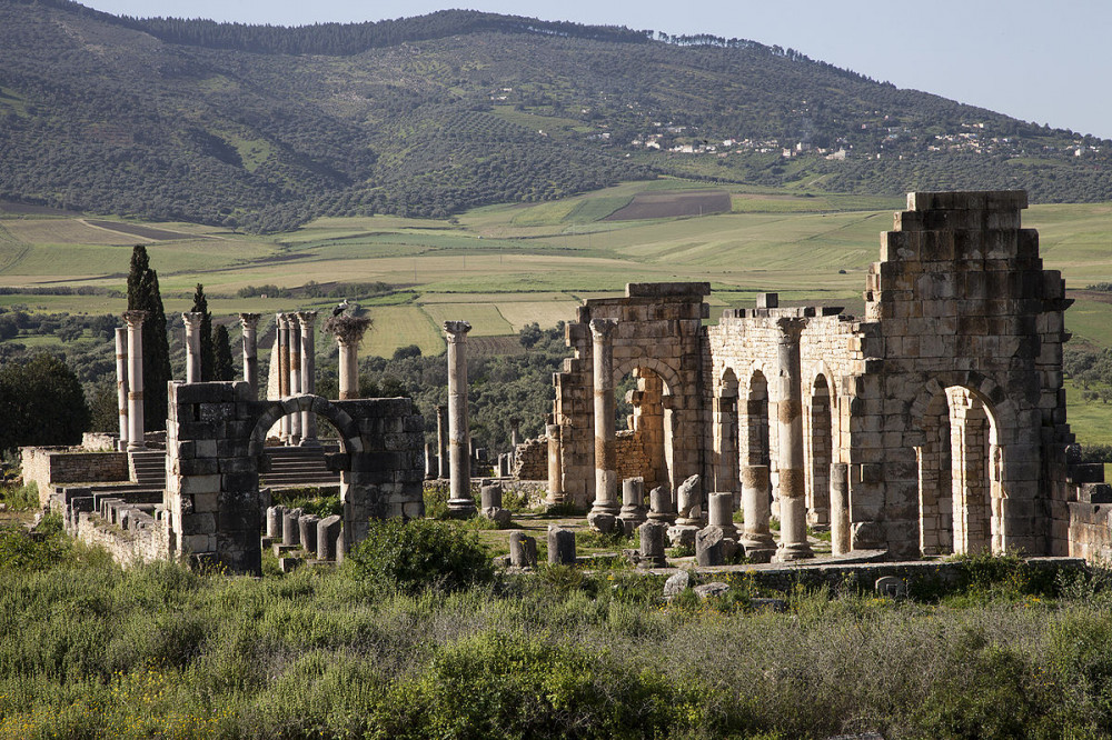 Meknes & Volubilis Day Tour from Fez