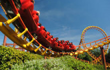 Wonder Meets and Tours Ltd.263