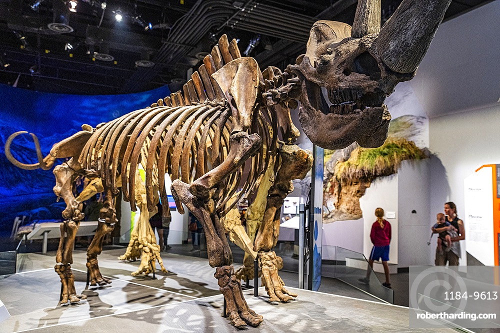 Prehistoric Wonders Of Drumheller - Ancient Landscapes And Fossils