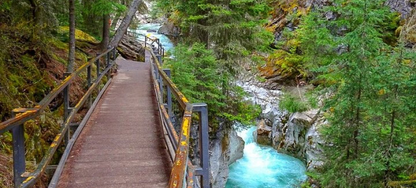 Full Day Private Banff Lake Louise Icefield Tour Fully Customizable