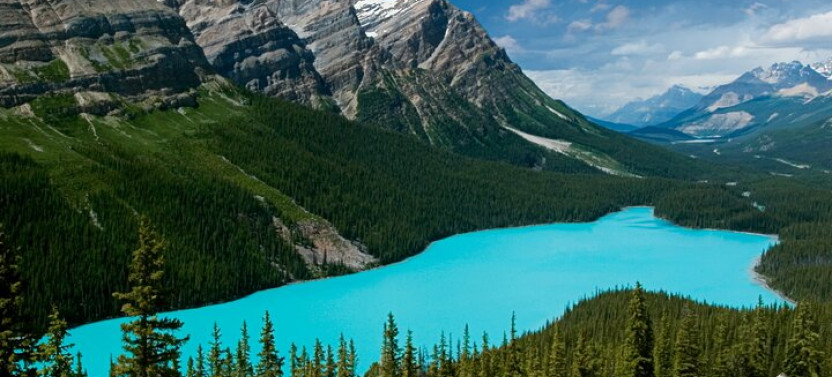 Jasper And Columbia Skywalk Icefield Parkway Private Day Tour