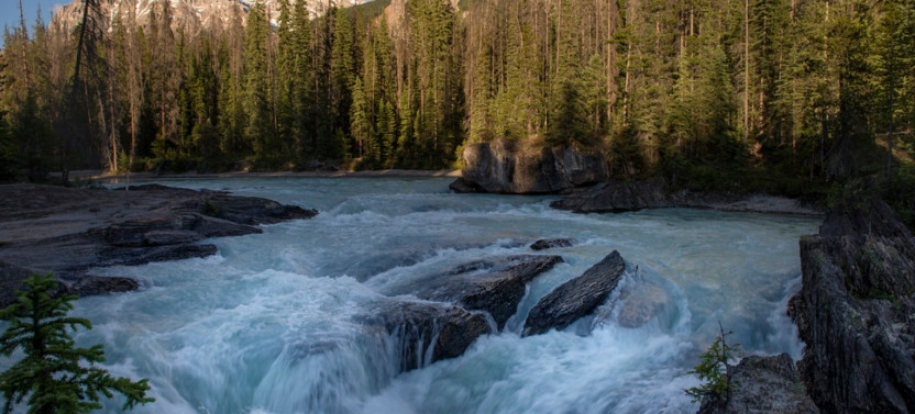 Golden Sky Bridge & Yoho National Park Thrilling Private Day Tour