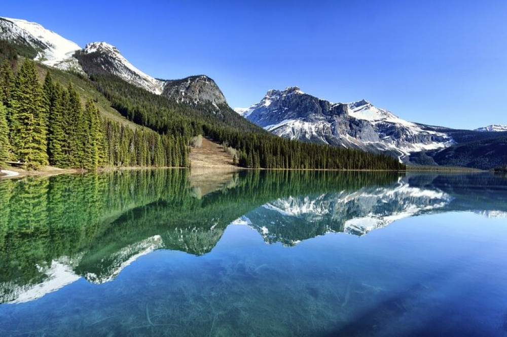 Full Day Small Group Banff Lake Louise Icefields Tour