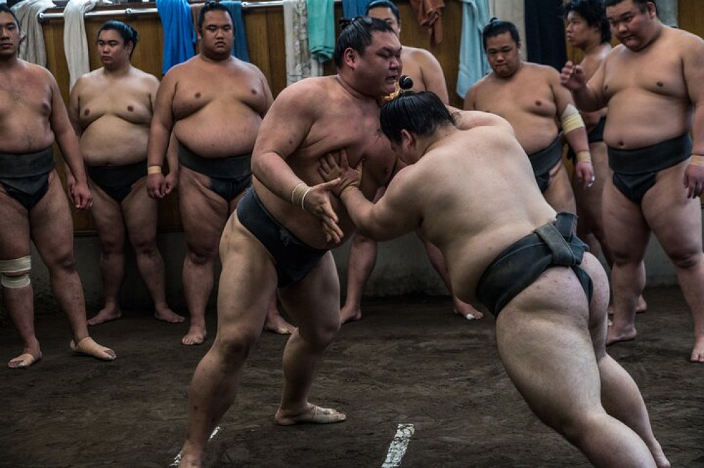 Tokyo Sumo Morning Practice Tour at Stable