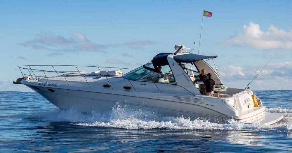 Gringo Yacht - Private Charter