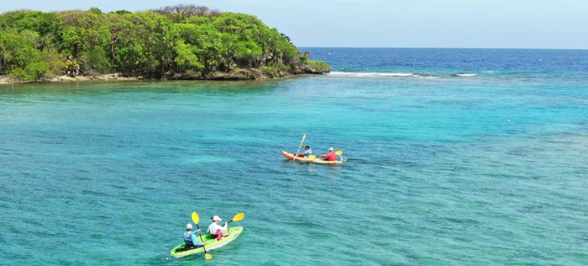 Roatan: Kayak Harbor Adventure and Reef Snorkel